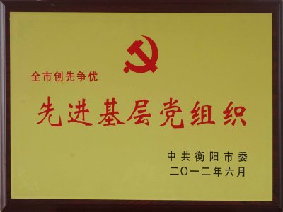 衡阳市先进基层党组织